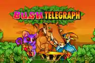 Bush-Telegraph