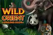 Wild-Orient